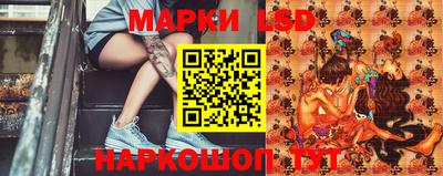 стафф Берёзовский