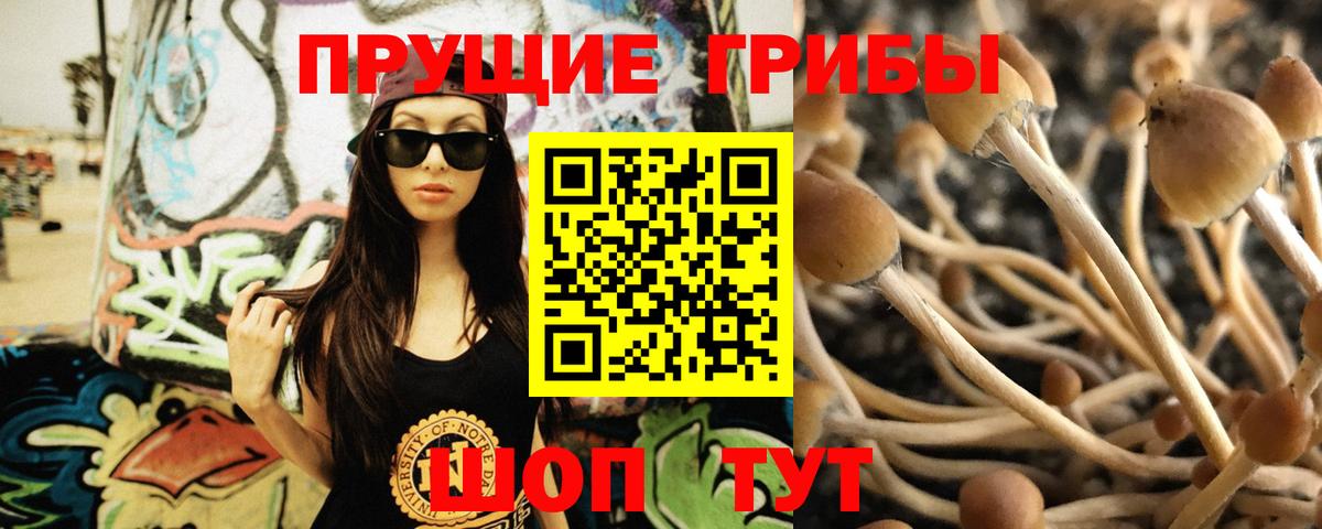 Псилоцибиновые грибы ЛСД  Вход с VPN  Галлюциногенные грибы прущие грибы  Киров 