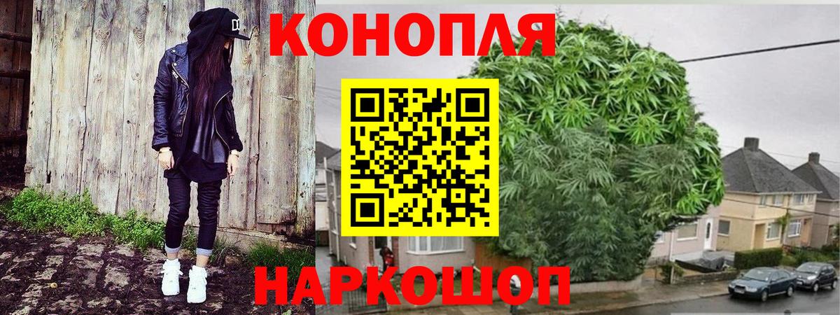 Марихуана семена  Каннабис MAZAR  Вход с VPN  Каннабис индика  Киров 